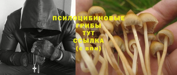 крисы Алексеевка