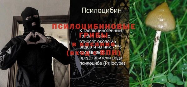 крисы Алексеевка