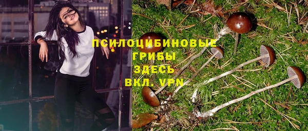 крисы Алексеевка