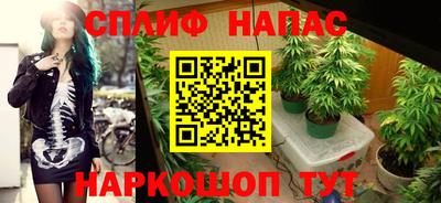 мдпв Кандалакша