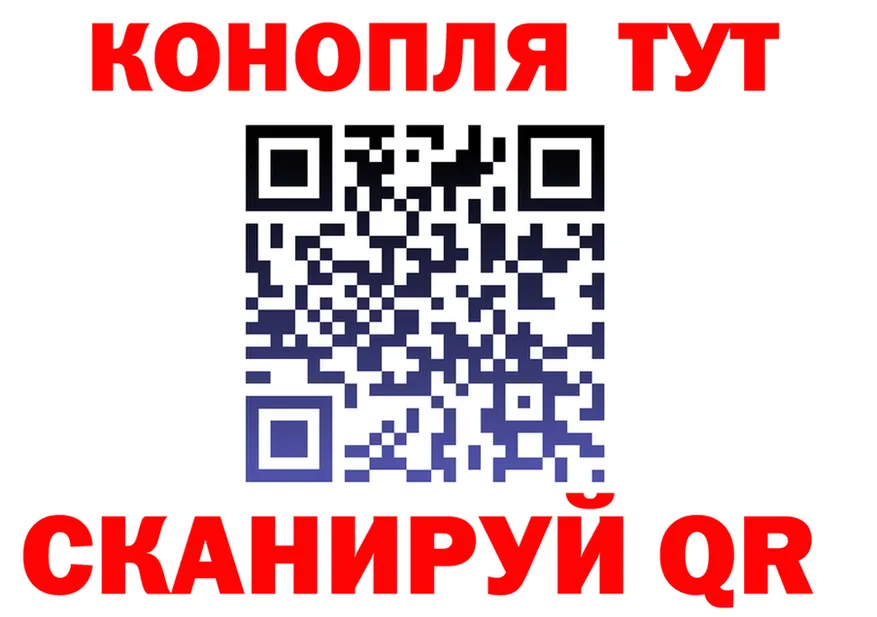 APVP СК вход площадка KRAKEN Лесной