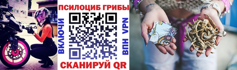 Псилоцибиновые грибы мицелий  Лесной 