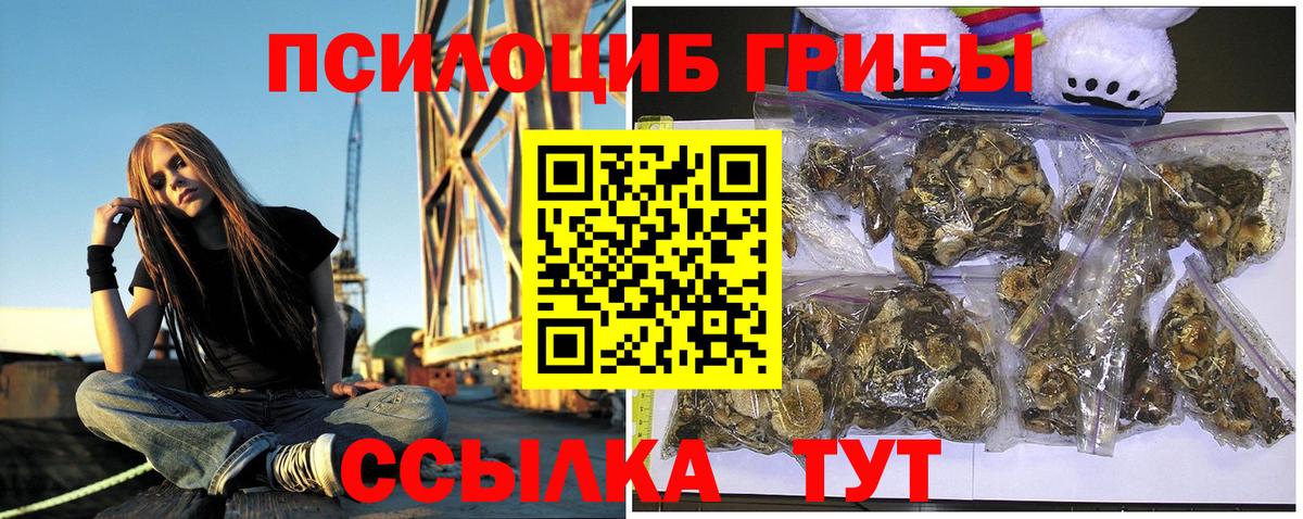 Псилоцибиновые грибы Psilocybine cubensis  Псилоцибиновые грибы Psilocybine cubensis  Лесной  Вход с VPN 